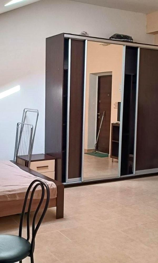 Attic Studio Apartment in Goloseevo District