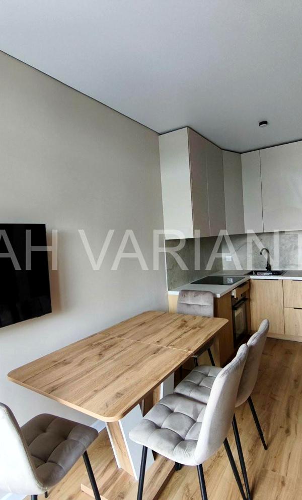 Stylish 1-Bedroom Apartment in Uzhhorod with Modern Renovation
