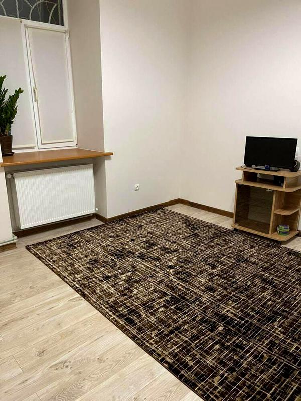 Comfortable 1-bedroom apartment near Lviv city center with modern amenities
