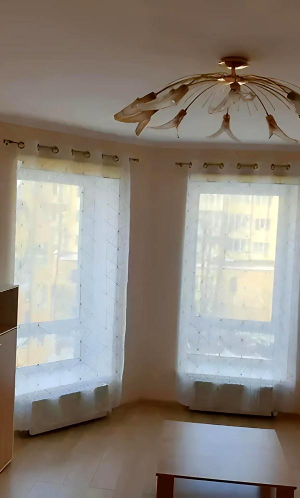 Furnished City Center Apartment with Euro Renovation
