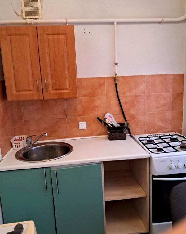 1-Room Apartment in Lisovyi Masiv, Close to Metro, Freshly Renovated