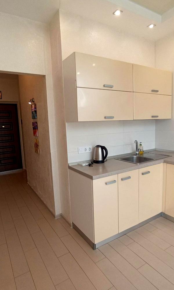 Modern Apartment in Zhemchuzhina Complex on Marselyska Street