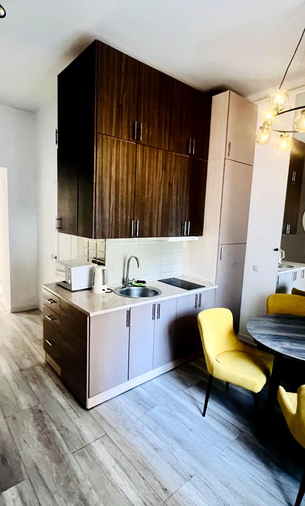 City Center Apartment with Designer Renovation and Two Bedrooms