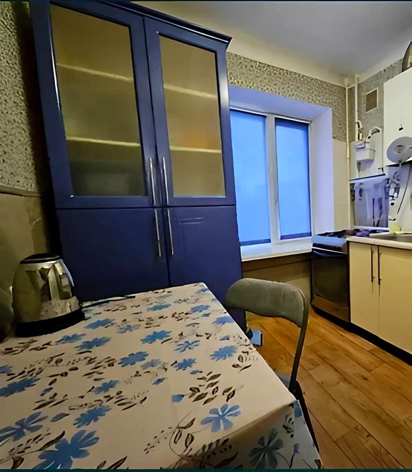 Қала орталығы мен Пионер паркінің жанындағы жайлы 1 бөлмелі пәтер