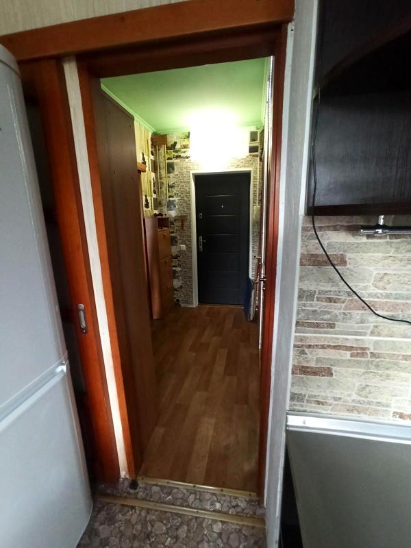 One-bedroom apartment with renovation, pet-friendly