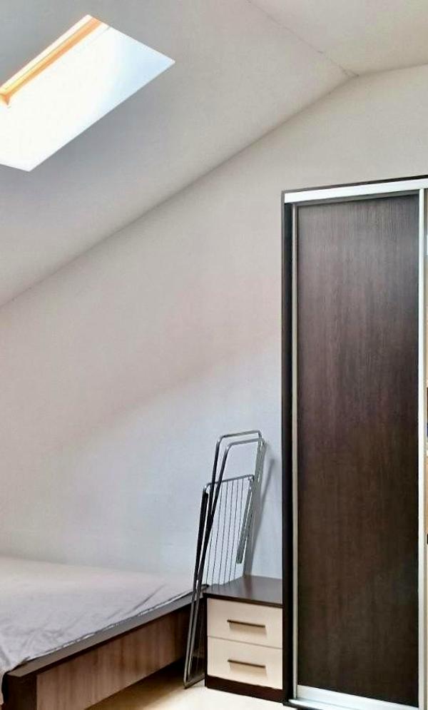 Attic Studio Apartment in Goloseevo District