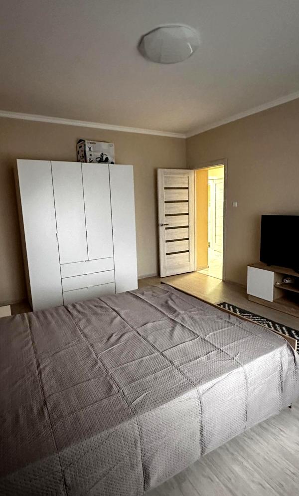 2-room apartment in Uzhhorod with designer interior and modern amenities
