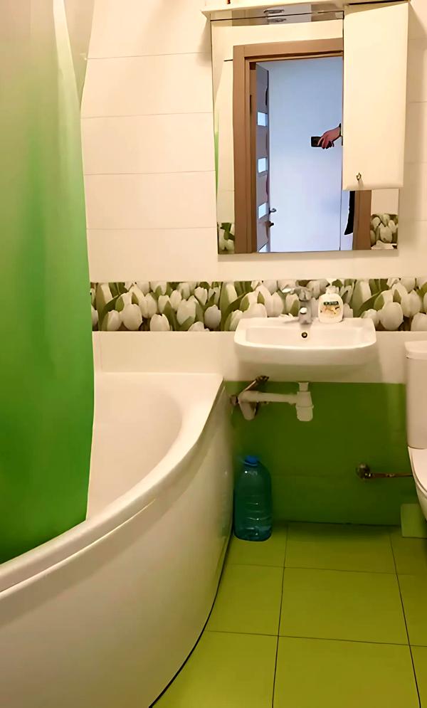 Furnished City Center Apartment with Euro Renovation