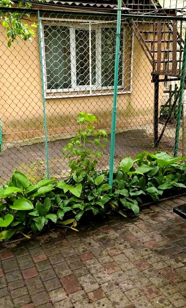 Apartment near the sea in Odessa city center, close to Shevchenko Park