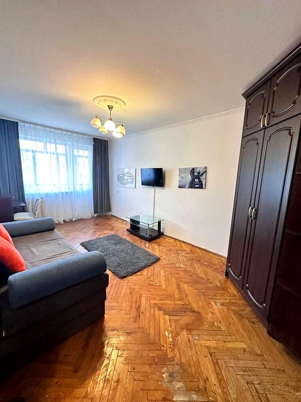 Cozy 1-bedroom apartment on Hrinchenko Street