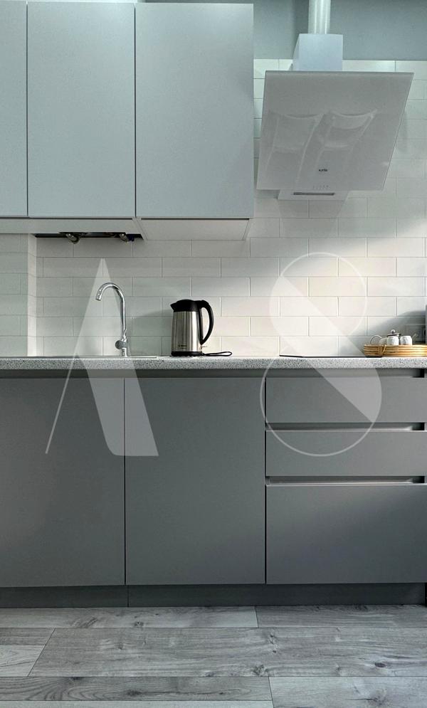 1-Bedroom Apartment in Lviv City Center with Modern Design