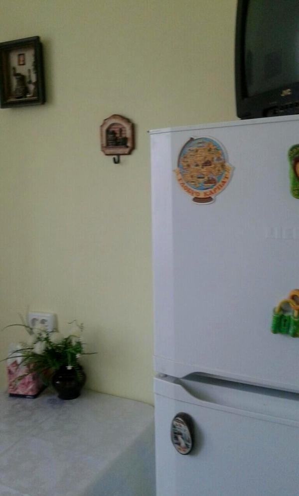1-Room Apartment in Luzanivka near School, Ground Floor, Fully Equipped