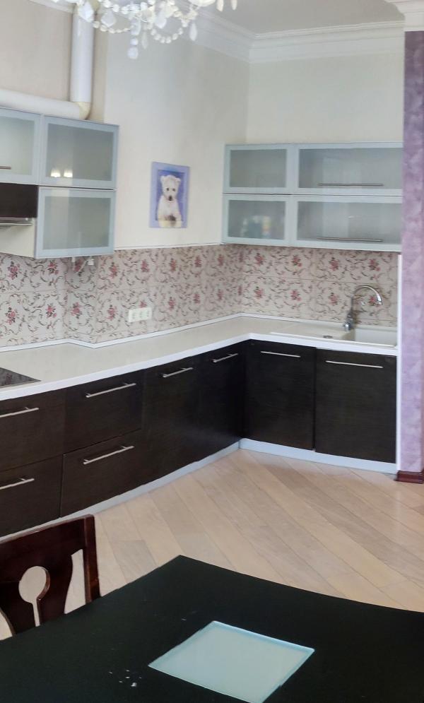 Spacious 3-Room Apartment in Kyiv's Shevchenkivskyi District