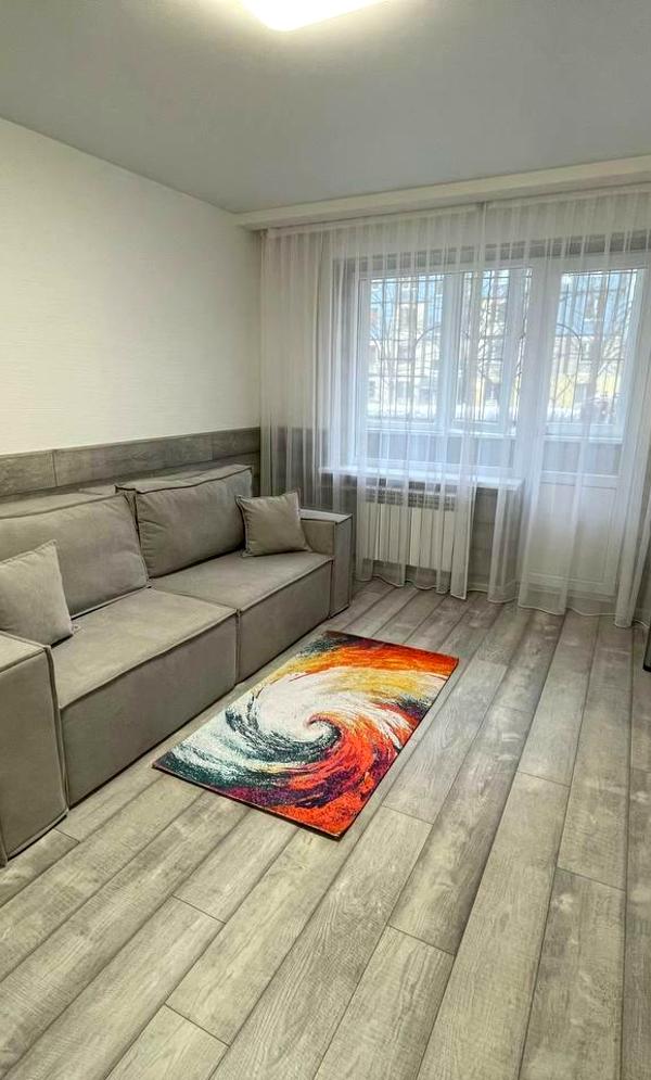 Cozy Renovated 1-Bedroom Apartment on Novogodnyaya Street