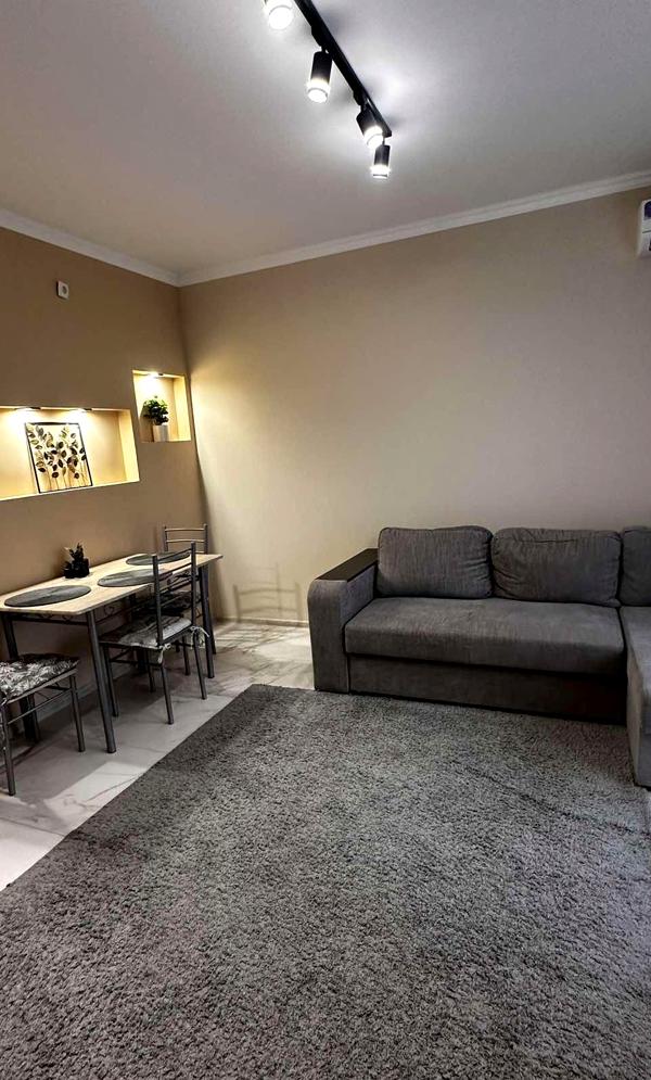 2-room apartment in Uzhhorod with designer interior and modern amenities