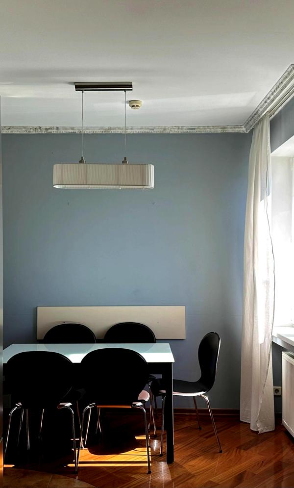 Cozy 1-bedroom apartment in Podil area