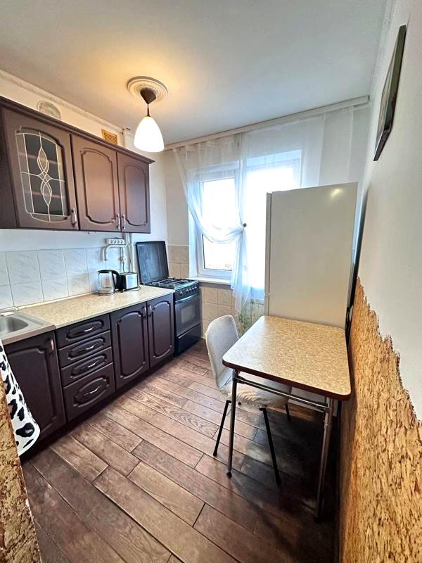 Cozy 1-bedroom apartment on Hrinchenko Street