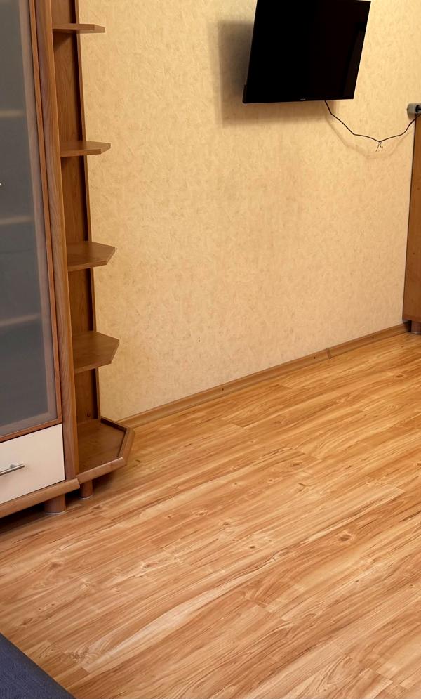 Cozy 1-Room Apartment at Nивки with Essential Amenities