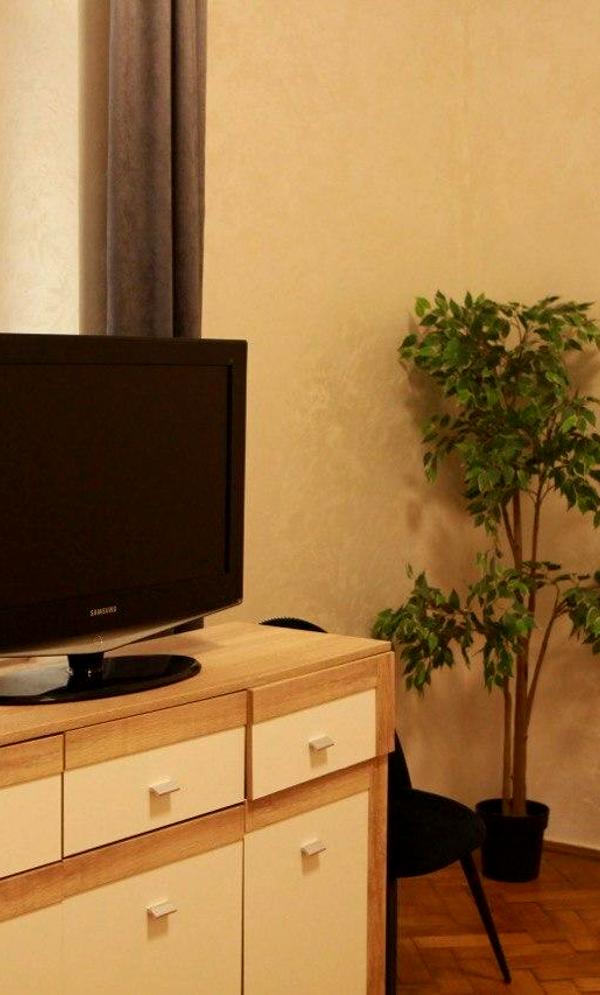 2-Room City Center Apartment near Potocki Palace