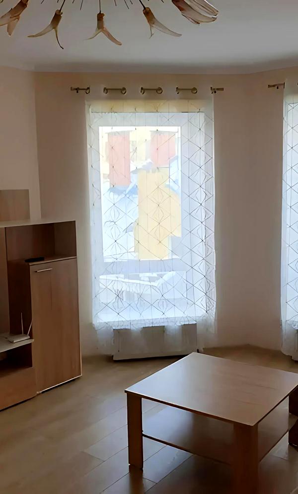 Furnished City Center Apartment with Euro Renovation