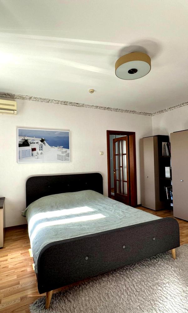 Cozy 1-bedroom apartment in Podil area