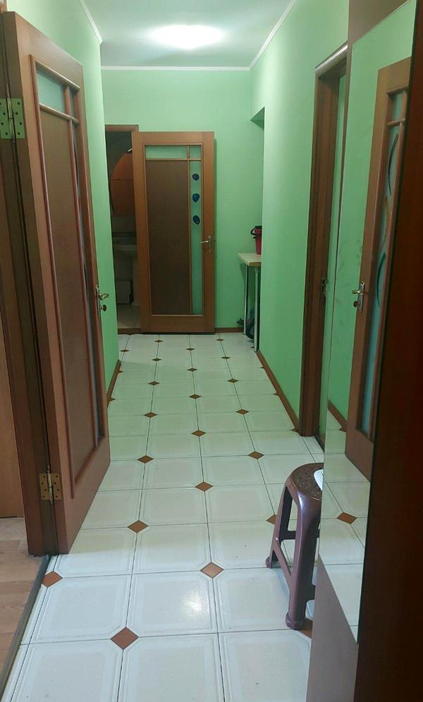 Spacious 2-Room Apartment on Balkovska Street