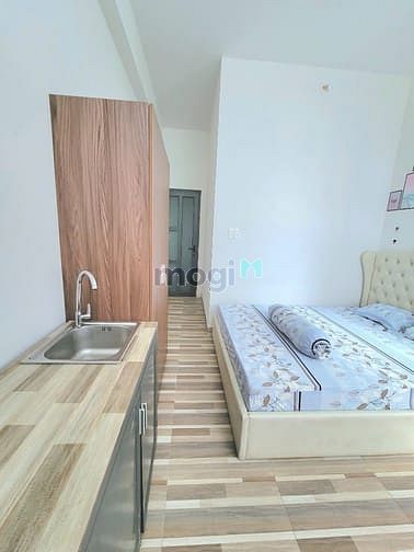 Furnished Mini Apartment with Modern Amenities