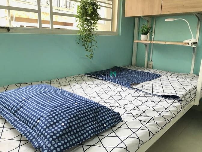 Modern Student Dormitory Near Foreign Language University
