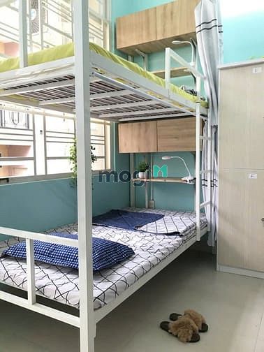 Modern Student Dormitory Near Foreign Language University