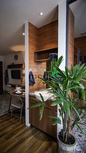 Luxury Apartment with Pet-Friendly Policy near Mai Chí Thọ