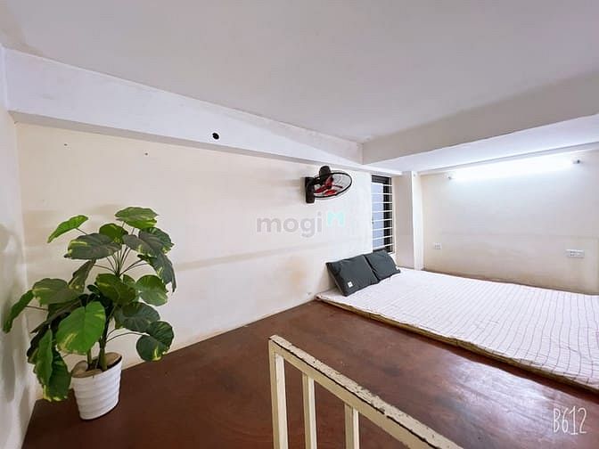 Fully Furnished Compact Loft Near Universities