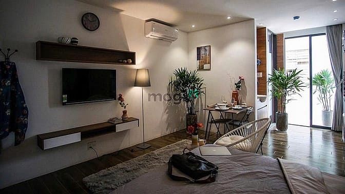 Luxury Apartment with Pet-Friendly Policy near Mai Chí Thọ