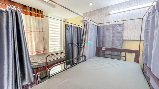 Shared Room Near External Economic College in Thu Duc City