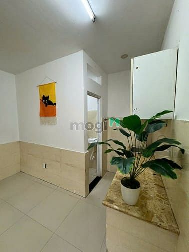 Compact Mezzanine Studio Apartment near Multiple Universities