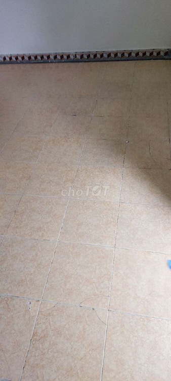Rental House in Phu Tho Hoa, Tan Phu District