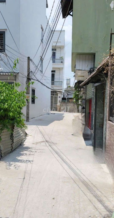 Spacious 1-Bedroom House in Quiet Neighborhood
