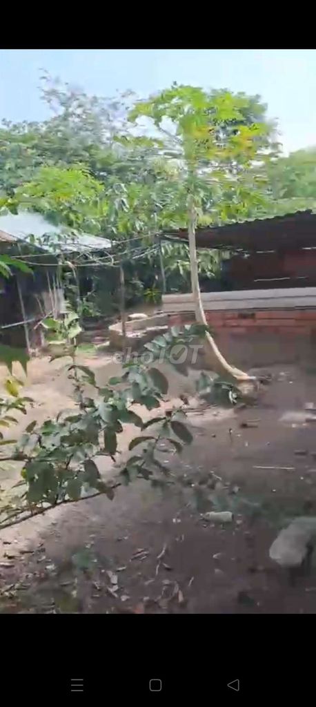 Garden House with Fish Pond and Fruit Trees