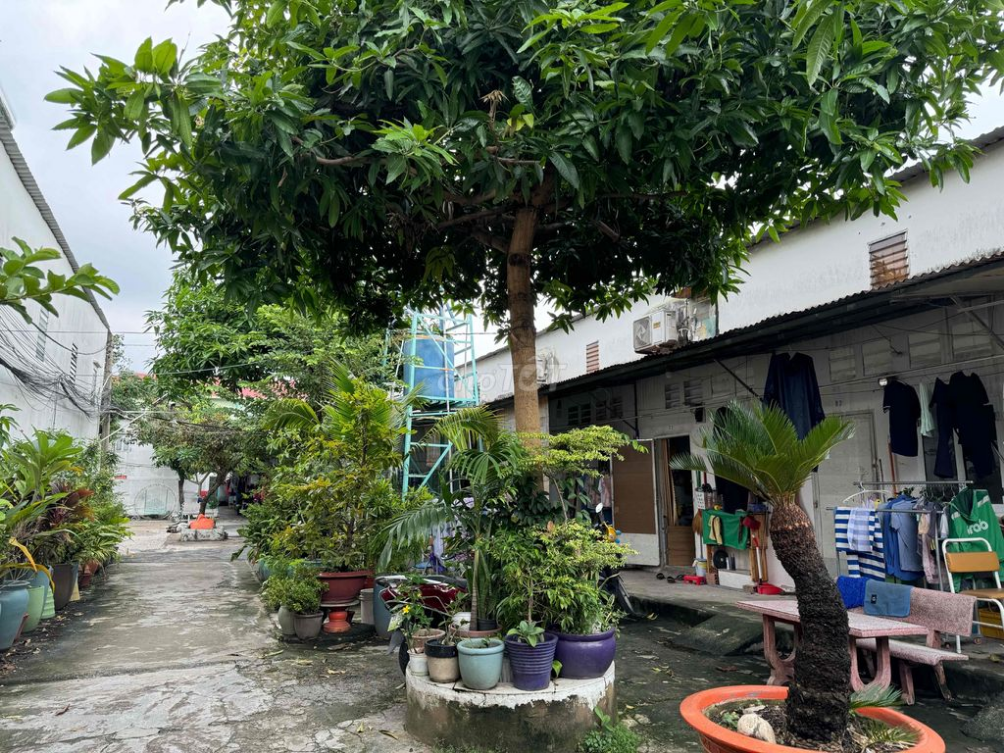 Compact 15m² Rental Near Amenities in Thủ Đức
