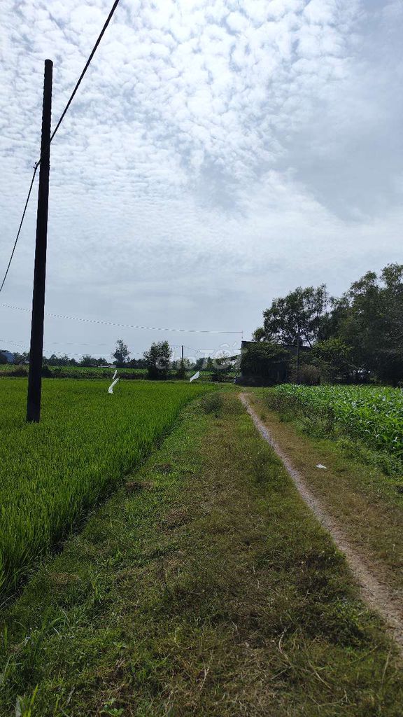 Large 1300m² Land Plot with Small House