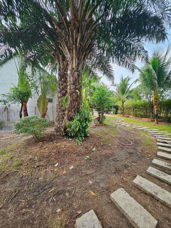 Mini Resort Rental in Phuoc Thanh, Cu Chi - Private Pool and Relaxation Space