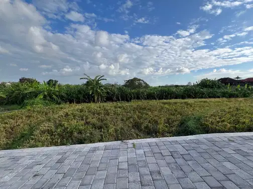 2 Bedroom Villa with Private Pool and Rice Fields View