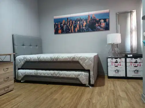Luxurious Semi-Furnished House in Premium Cluster