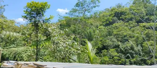 2-Story Modern Villa in Tabanan, Near Bratan Lake with Fruit and Vegetable Garden