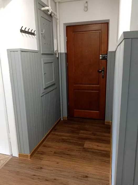 Renovated 48m² Apartment with Balcony in Center