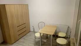 Modern Studio Apartment Near Kazimierz Gallery