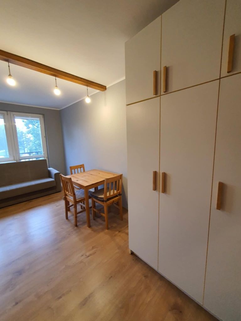 Cozy Studio Apartment in Winogrady, Poznań