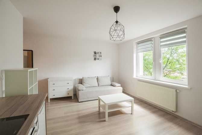 Bright Studio Apartment in City Center, Pet-Friendly, Parking Available