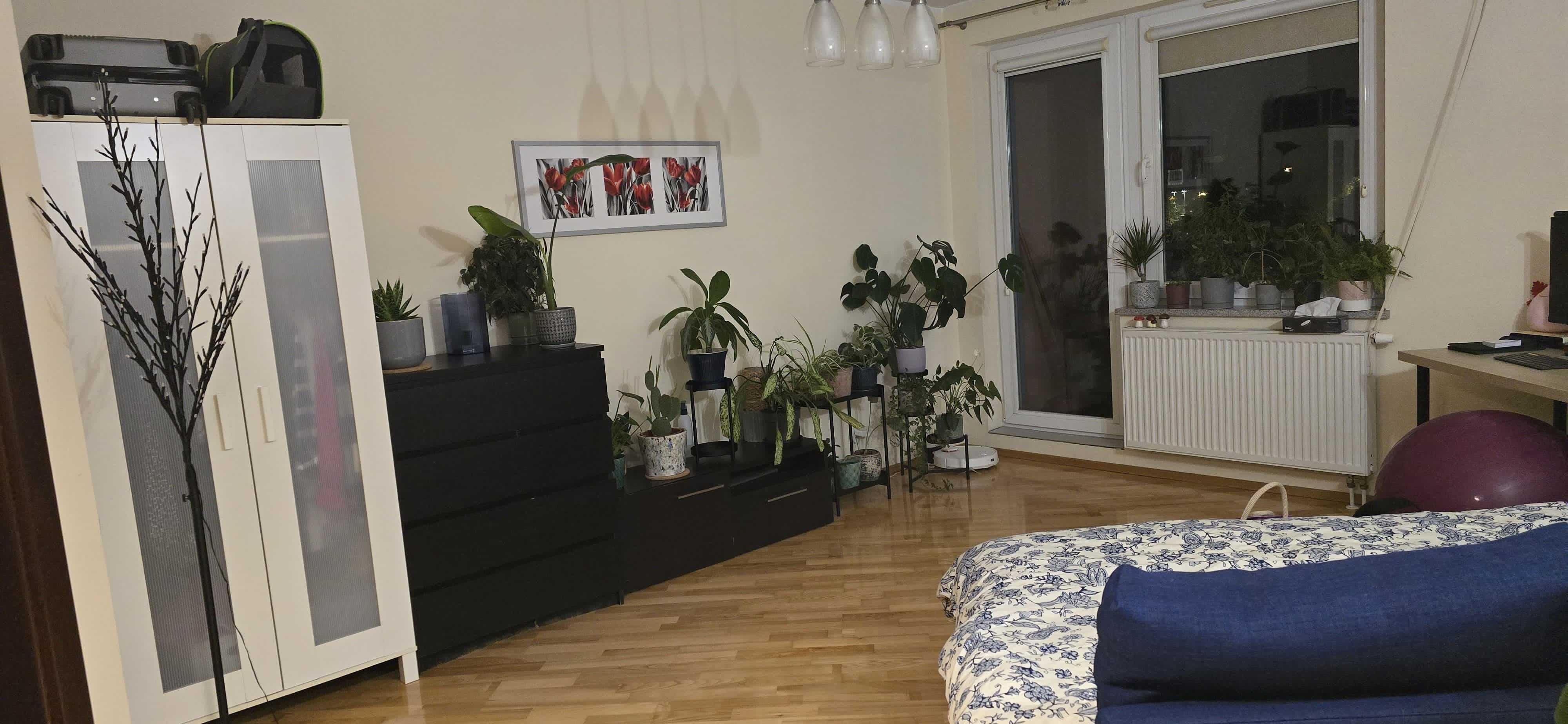 Spacious Studio Apartment near Aquapark and Park Andersa