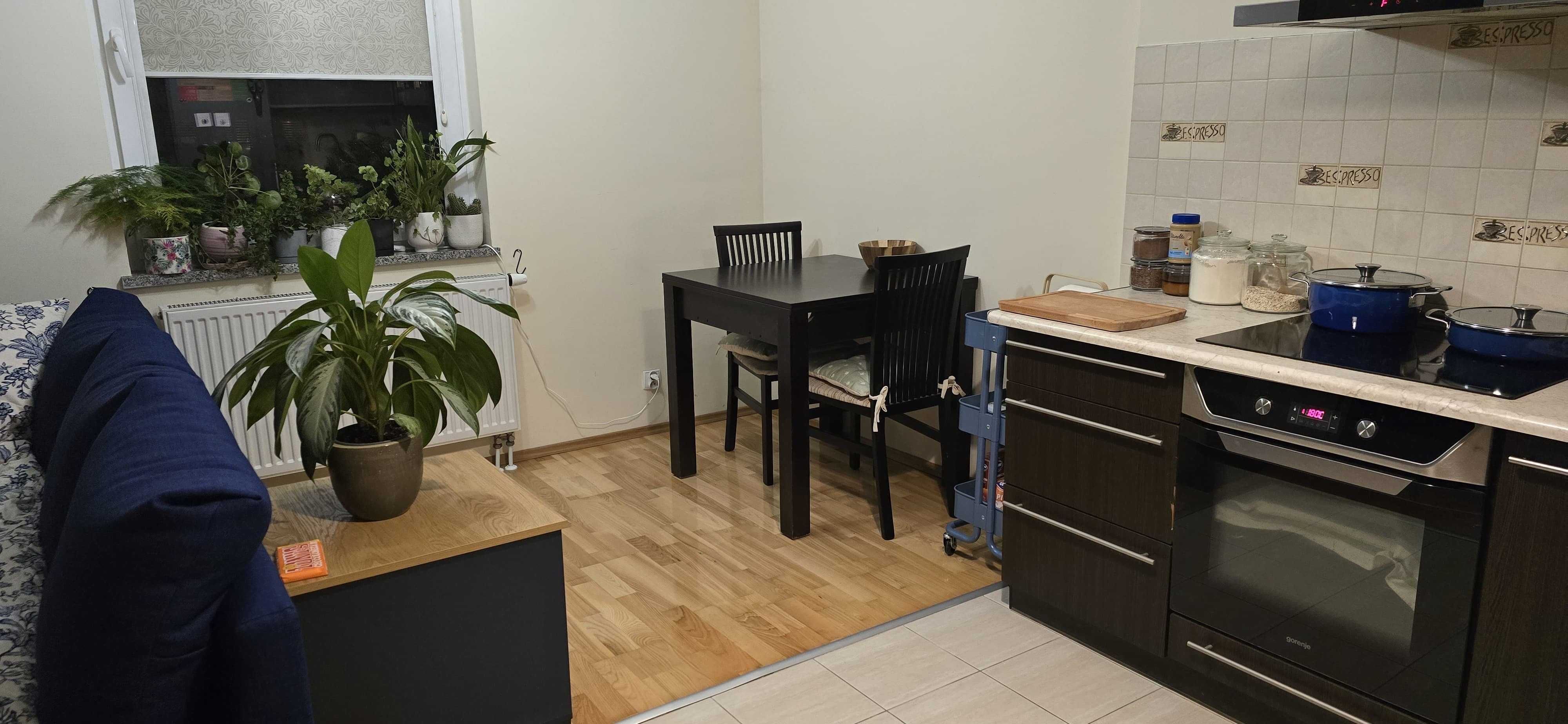 Spacious Studio Apartment near Aquapark and Park Andersa