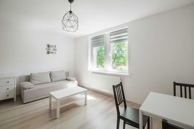 Bright Studio Apartment in City Center, Pet-Friendly, Parking Available
